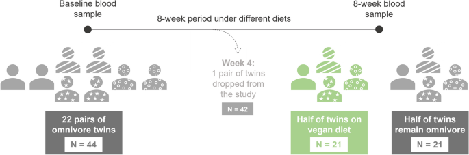 Healthy Ideas for Twins Netflix Diet